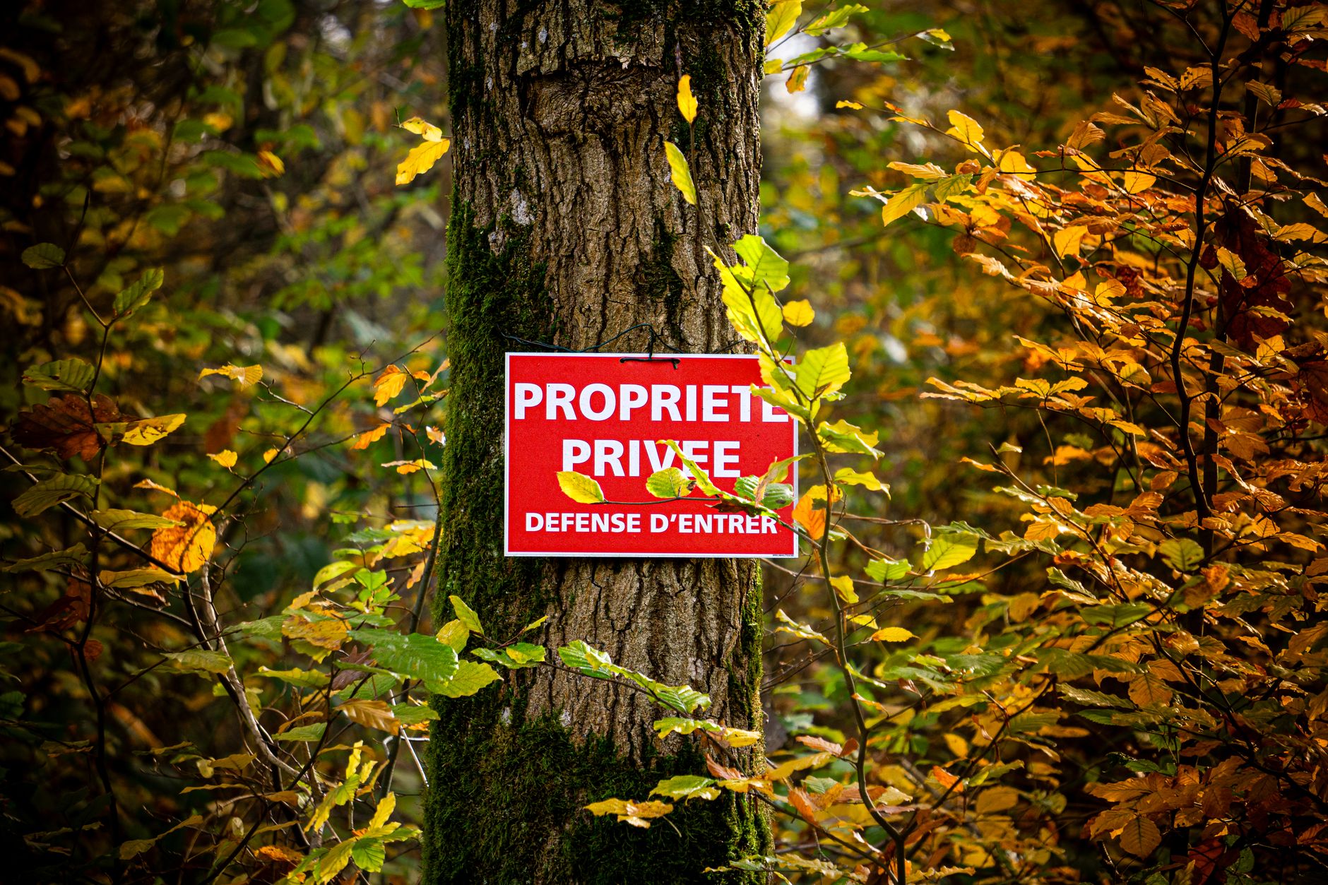 Détective privé à Rueil-Malmaison